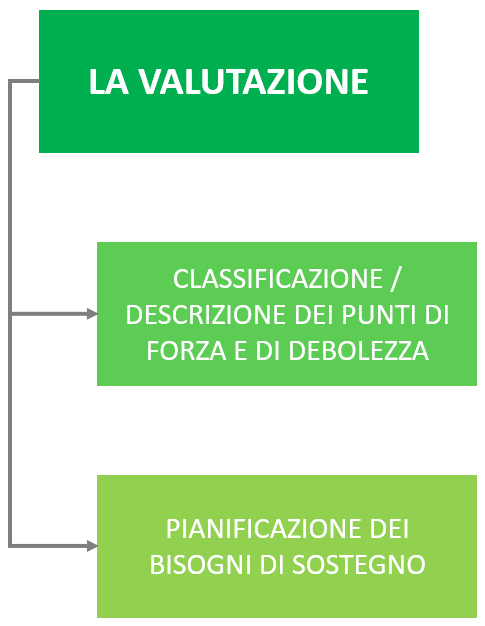 Schema valutazione della Cooperativa Autismo Trentino