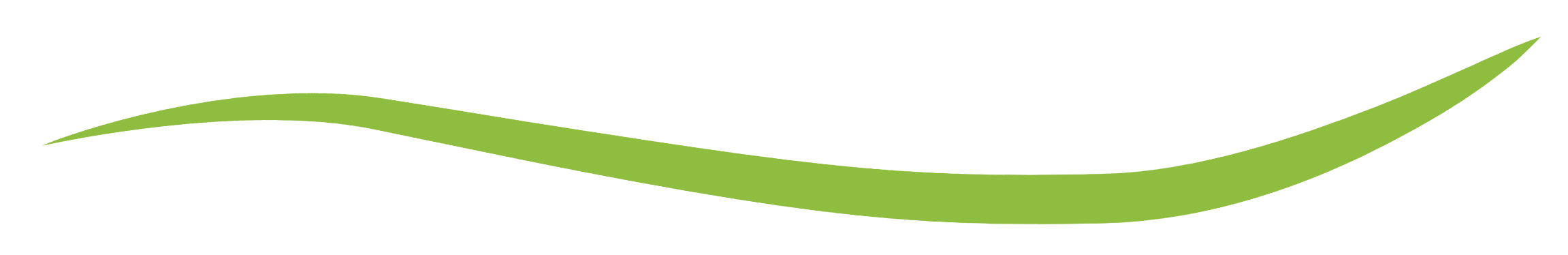 linea verde del logo